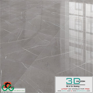 Majesty gray floor tiles