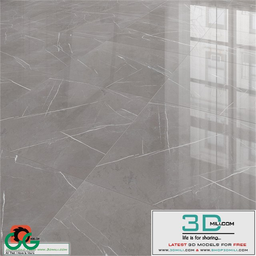 Majesty gray floor tiles
