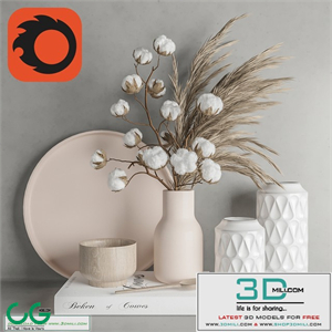 Decoration Set 22 Cotton and Vase