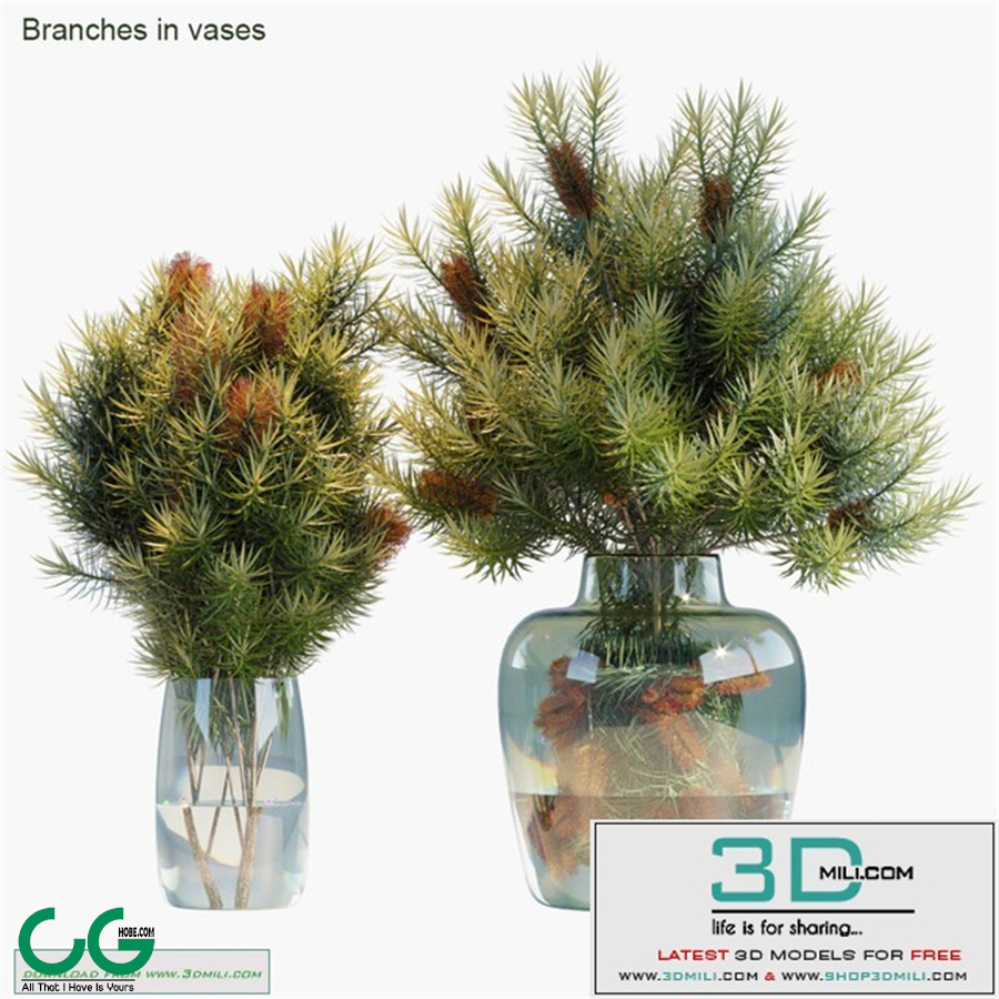 Branches in vases 30: Red Candle