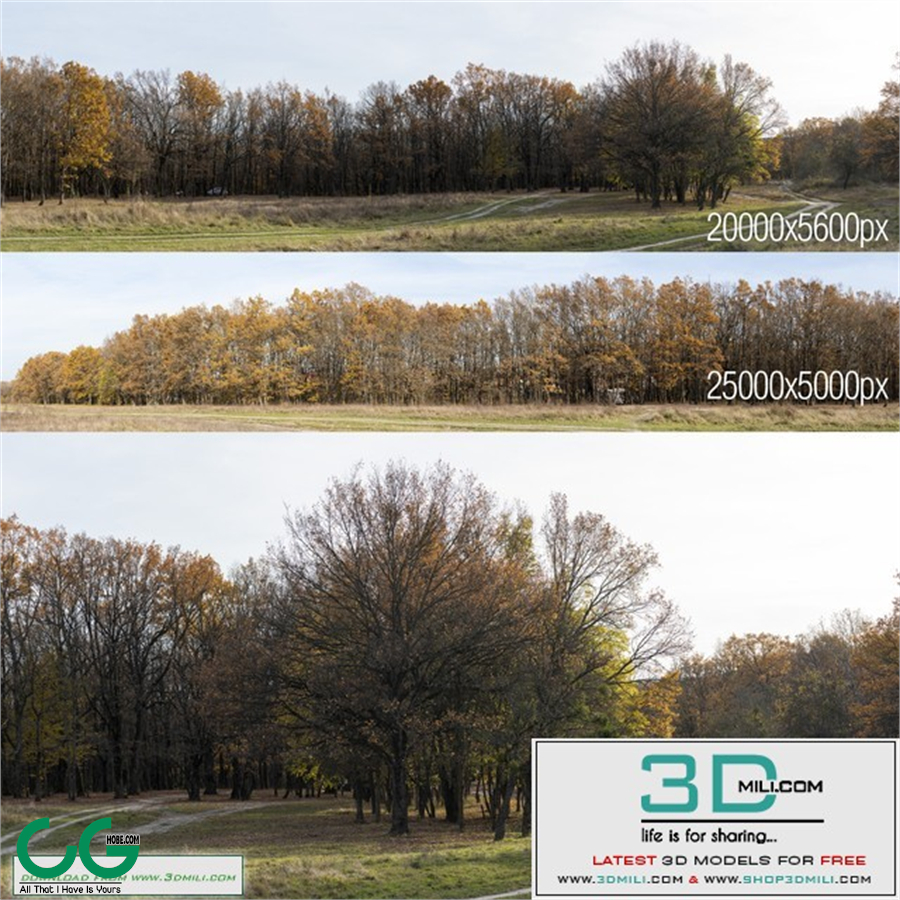 Oak Grove. 2 panoramas