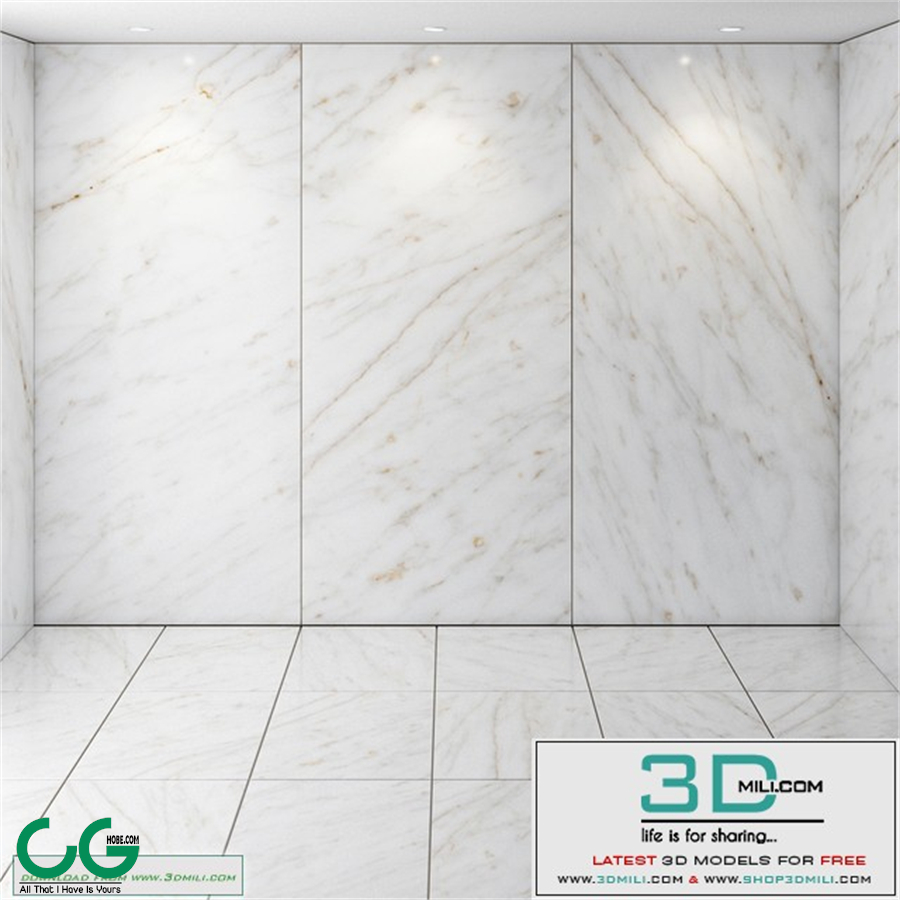 Marble_026
