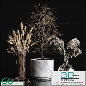 Dry plants collection