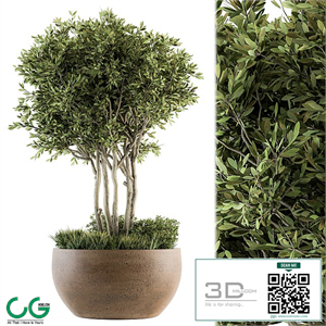 Outdoor Plants tree in Concrete Pot - Set 135