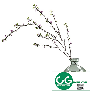 Branch with flowers in an asymmetric bottle