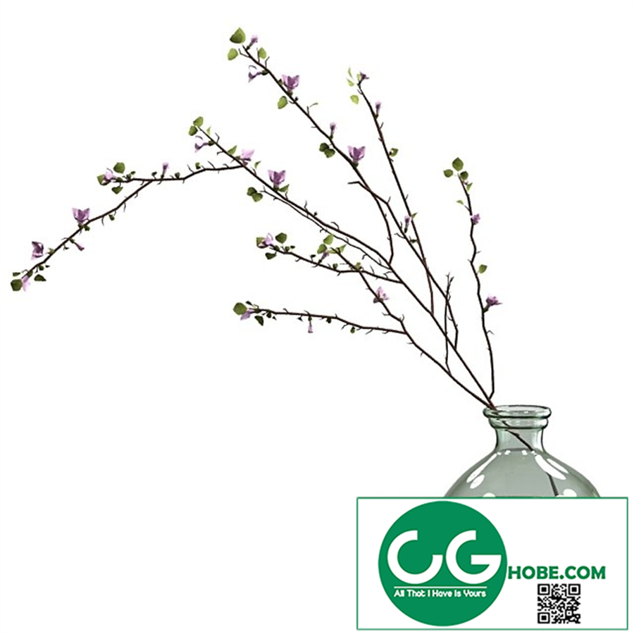 Branch with flowers in an asymmetric bottle