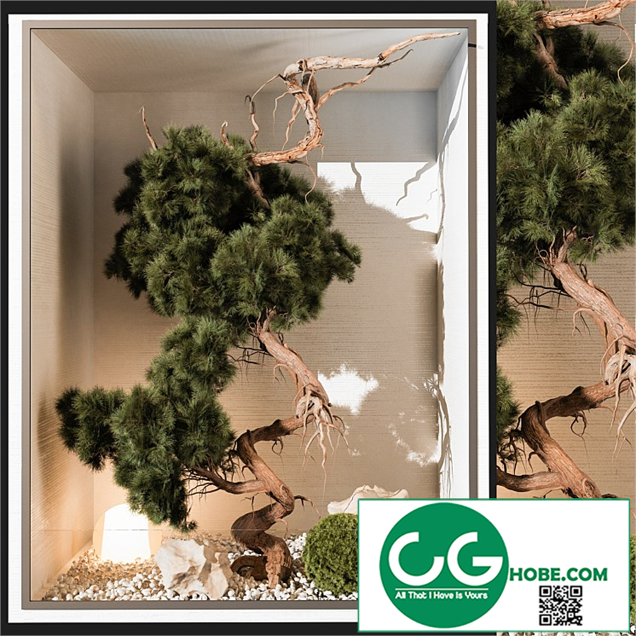 indoor Plant 252