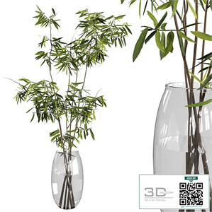 Ficus branches bouquet set 01
