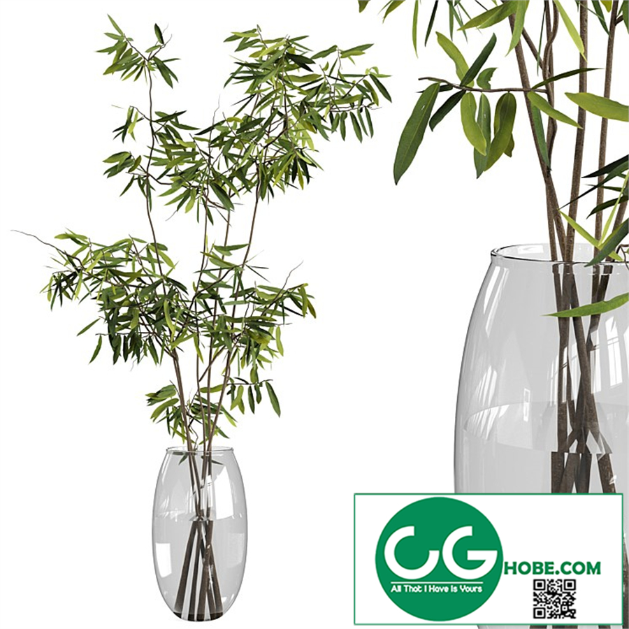 Ficus branches bouquet set 01