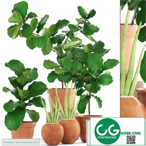 A collection of plants.
