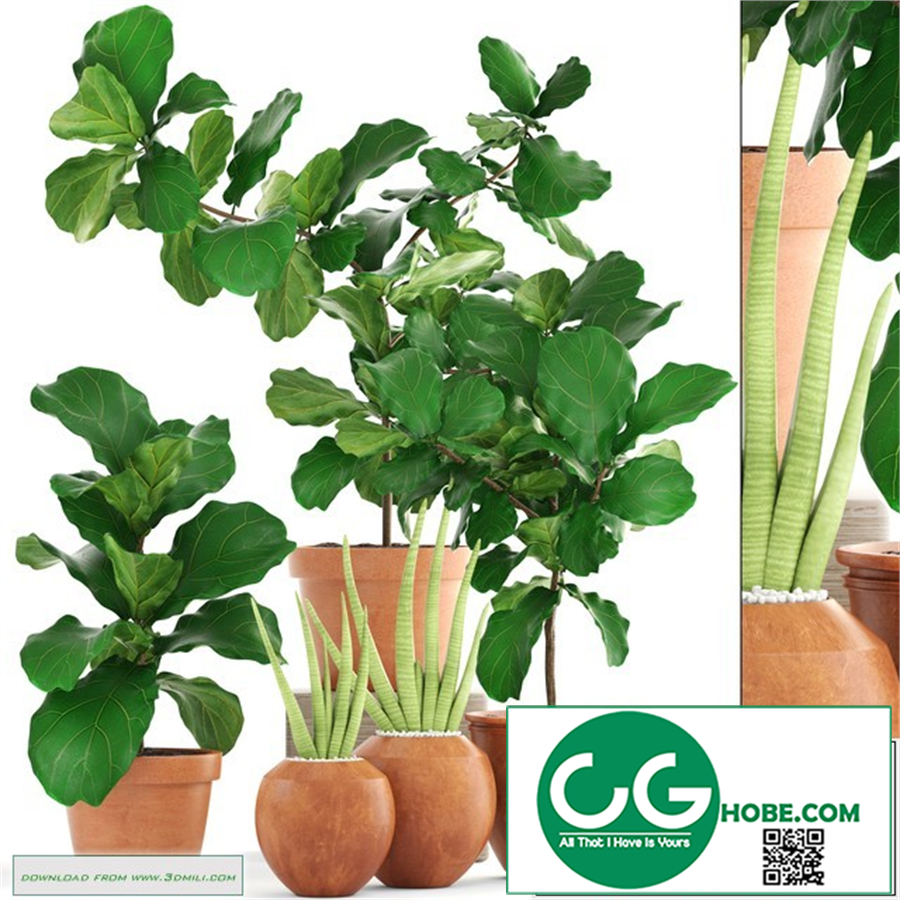 A collection of plants.