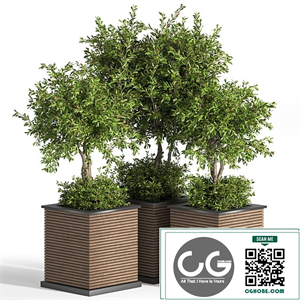 Outdoor_Plants_tree_10