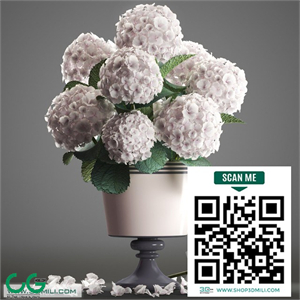 Bouquet of white flowers 54