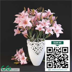 Lilium