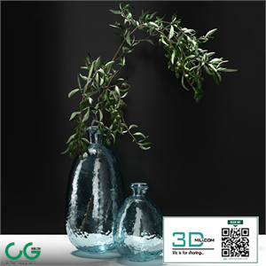 Olive branch in vase