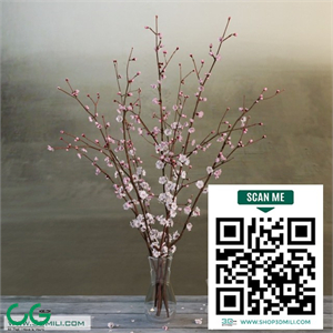 bouquet of cherry