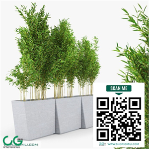 plant 3