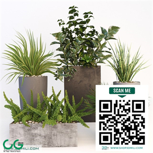 plant bush