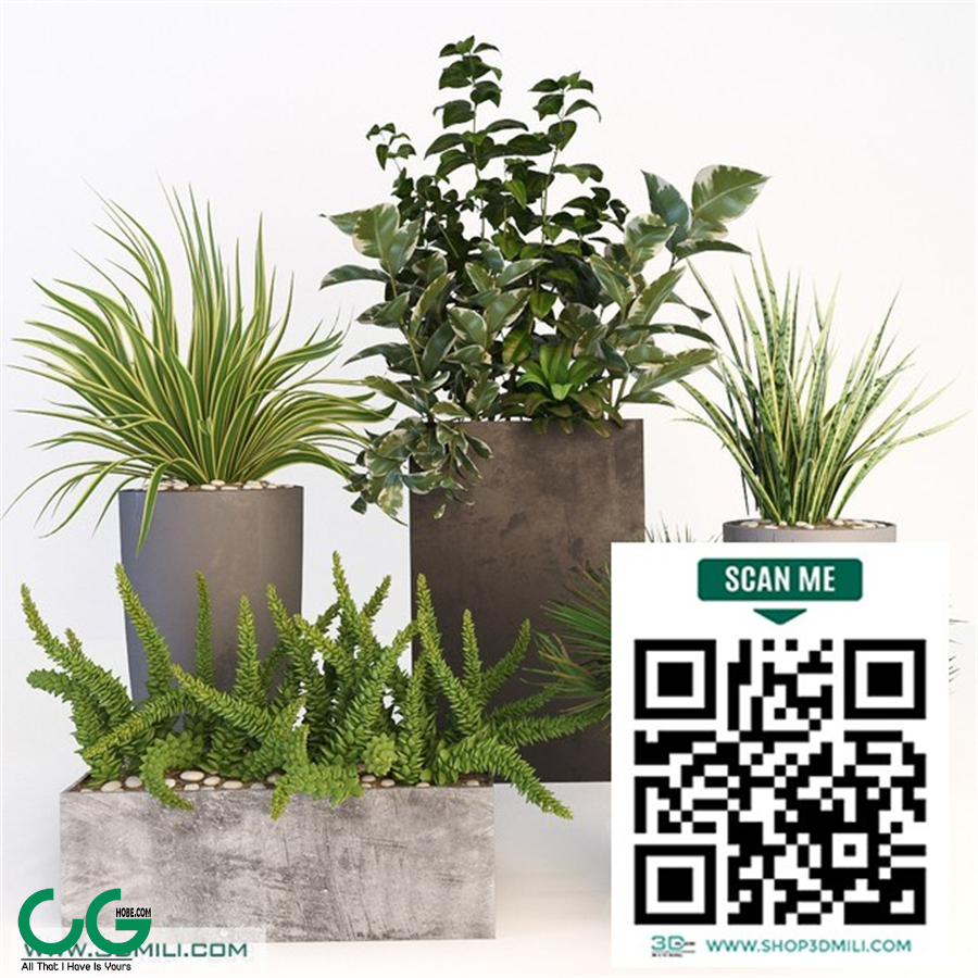 plant bush