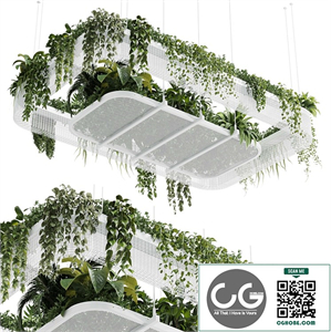 Hanging plants - indoor plant 323 vray