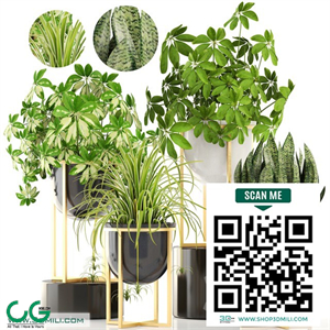Collection of plants