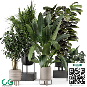 Indoor Plants in Ferm Living Bau Pot Large - Set 879 PRO $7 Royalty free