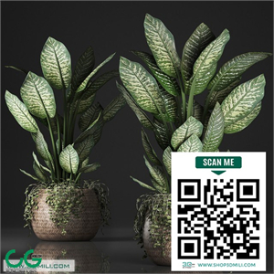 Indoor small lush decorative flower