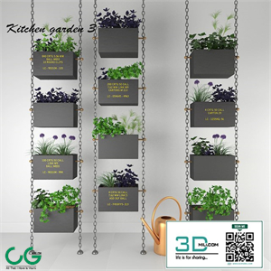 Kitchen herbs 3