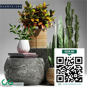 PLANTS 104