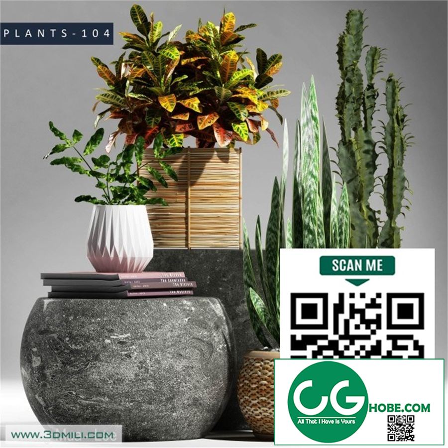 PLANTS 104