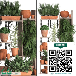 Plant Collection 366