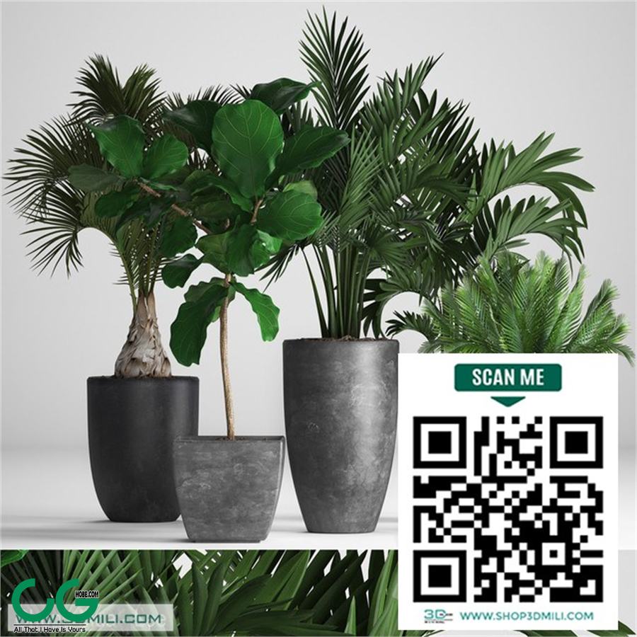 Plant collection 257