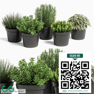 plants set 05