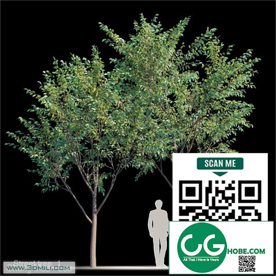 Street tree v1