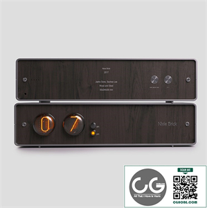 Nixie Brick