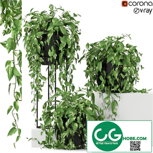 Plants collection 250