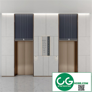 ELEVATOR LOBBY DESIGN 3