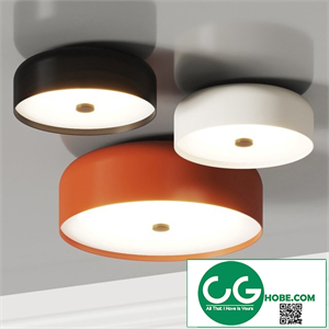 Vertigo Bird Kat Ceiling Lamps