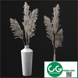 Pampas bouquets