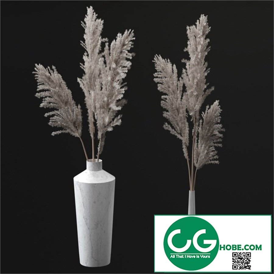 Pampas bouquets