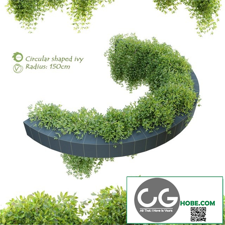 Circular shaped ivy