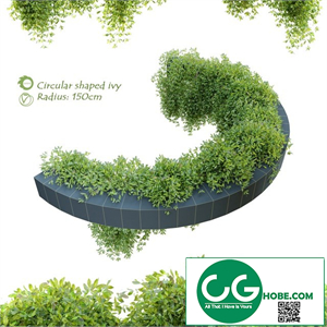 Circular shaped ivy