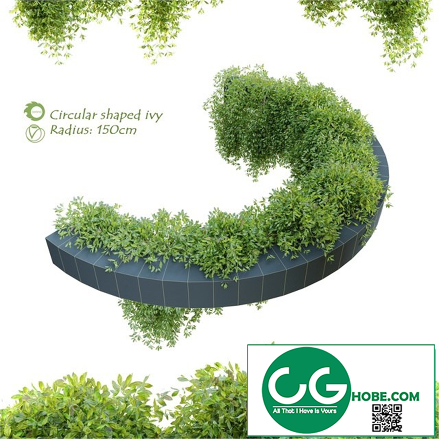Circular shaped ivy