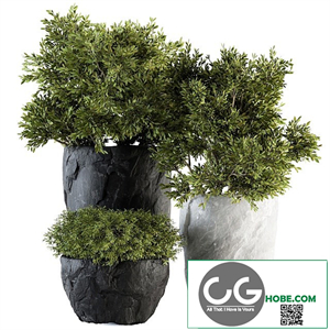 Outdoor Plants tree in Rock Pot - Set 136