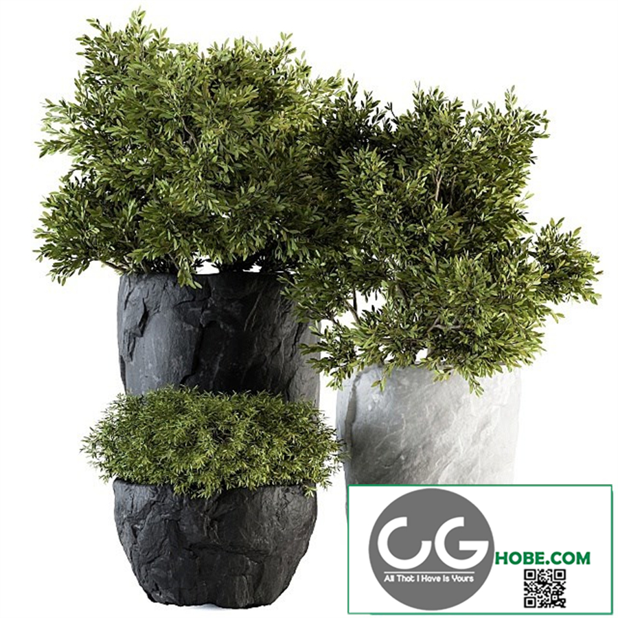 Outdoor Plants tree in Rock Pot - Set 136