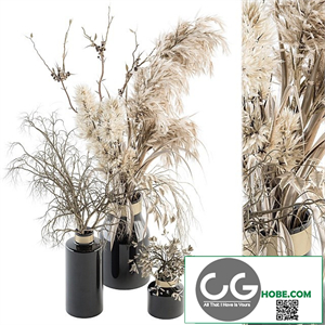 Dry plants 70 - Dried Pampas Set