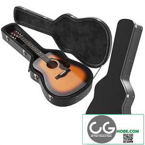 Guitar Case