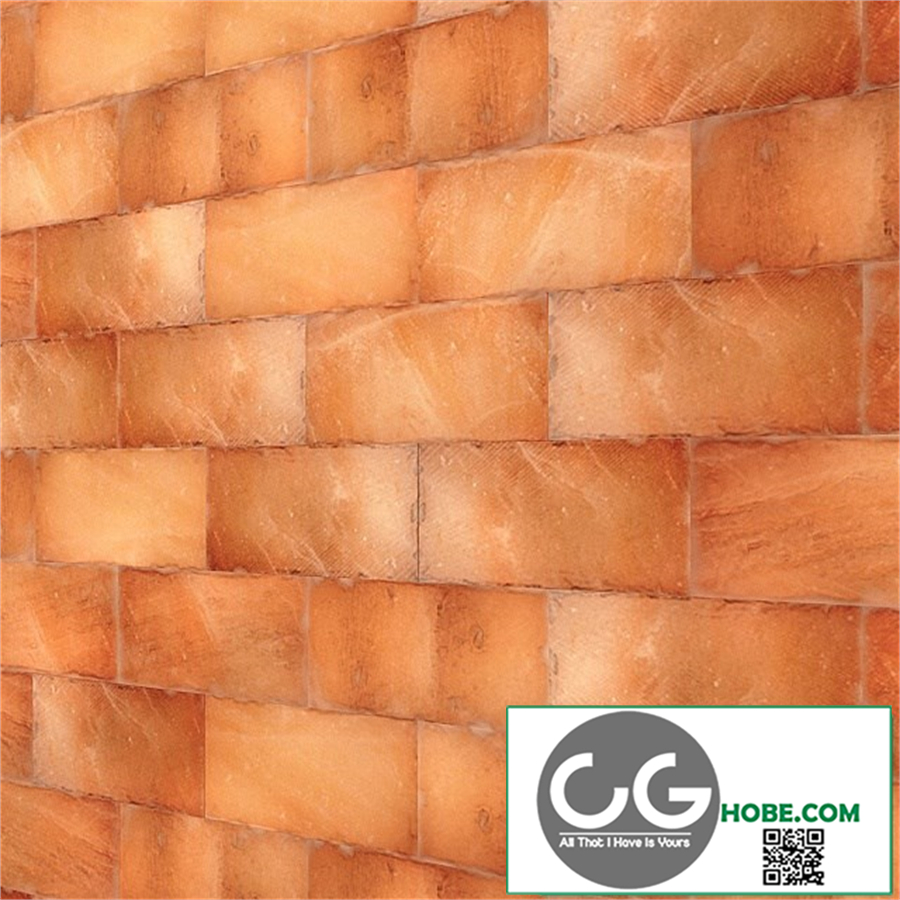 Himalayan salt wall