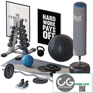 Home gym 2
