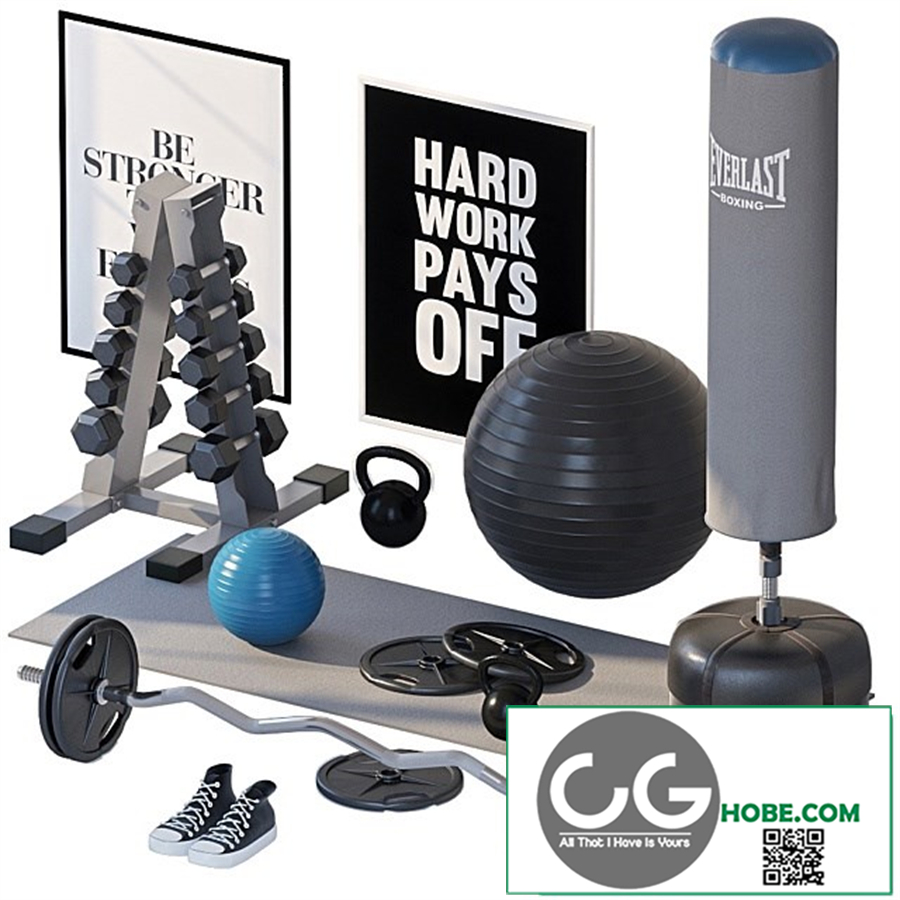 Home gym 2